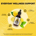 liposomal-gaba-with-l-theanine-liquid-dr-4.jpg