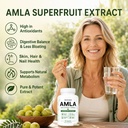 amla-capsules-organic-amla-extract-suppl-3.jpg