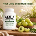 amla-capsules-organic-amla-extract-suppl-6.jpg