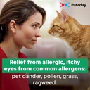 pataday-once-daily-relief-extra-strength-6.jpg