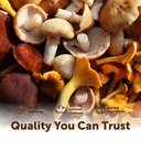 micro-ingredients-organic-mega-mushrooms-6.jpg