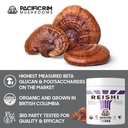 pacific-rim-mushrooms-reishi-mushroom-po-2.jpg