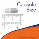now-supplements-holy-basil-extract-500-m-5.jpg