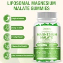 liposomal-3000mg-magnesium-malate-gummie-6.jpg