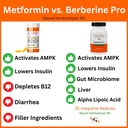 berberine-pro-by-dr-rajsree-md-digestive-2.jpg