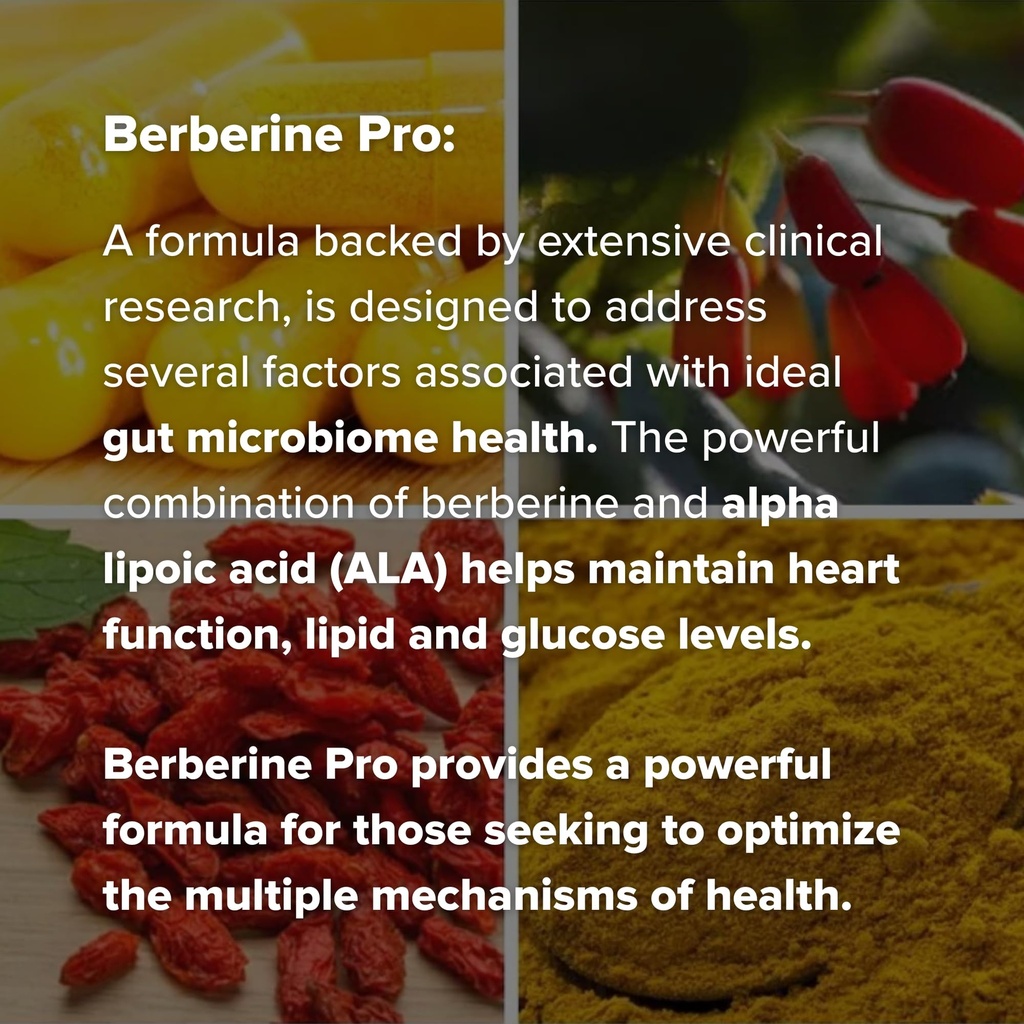 berberine-pro-by-dr-rajsree-md-digestive-4.jpg