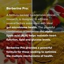 berberine-pro-by-dr-rajsree-md-digestive-4.jpg