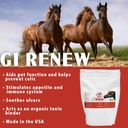 pennwoods-gi-renew-probiotics-for-equine-2.jpg