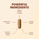 choq-daily-with-500mg-purified-shilajit--2.jpg