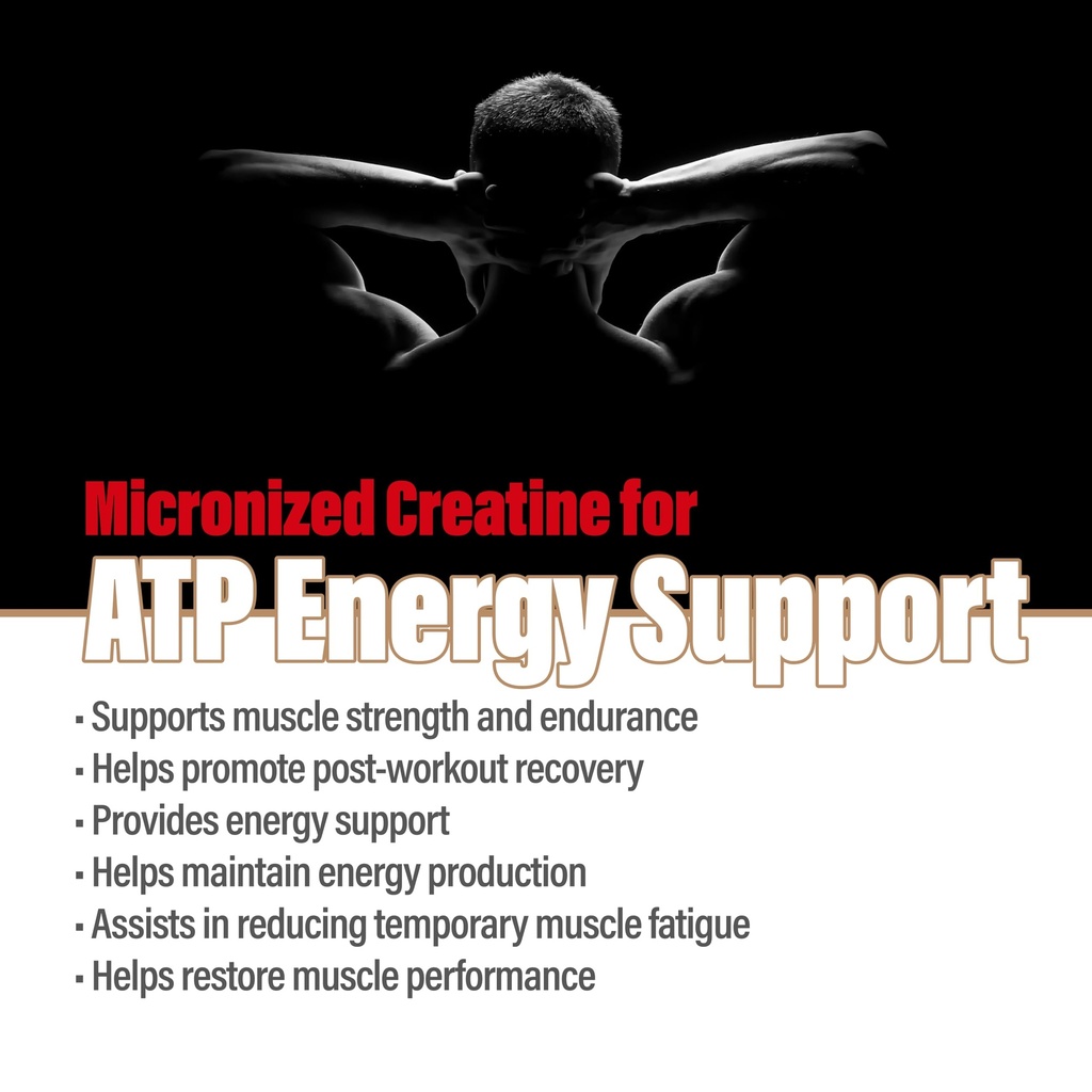 creatine-monohydrate-300g-marine-collage-3.jpg