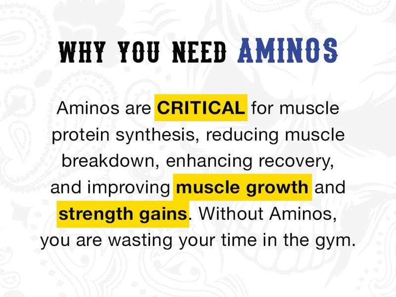strength-cartel-big-boy-amino-lemoncake--4.jpg