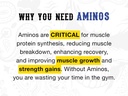 strength-cartel-big-boy-amino-lemoncake--4.jpg