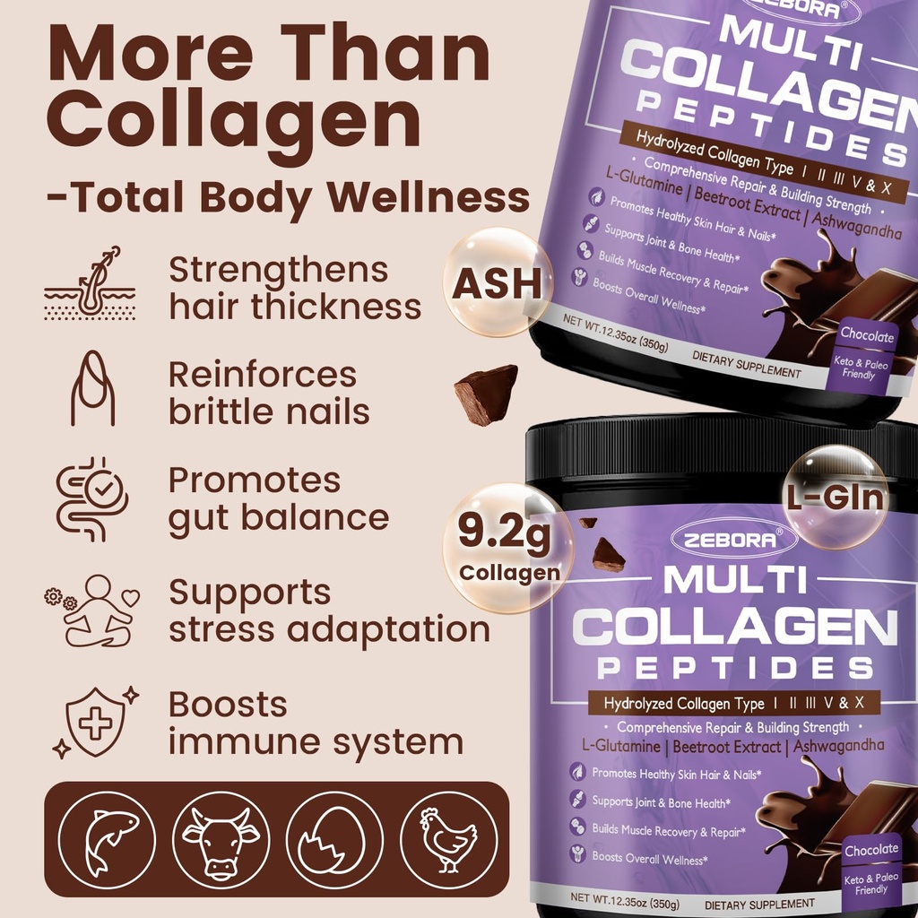 zebora-chocolate-multi-collagen-peptides-6.jpg