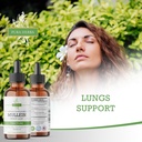 mullein-tincture-organic-mullein-drops-f-2.jpg