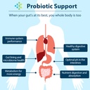 300-billion-cfu-16-in-1-prebiotics-and-p-3.jpg