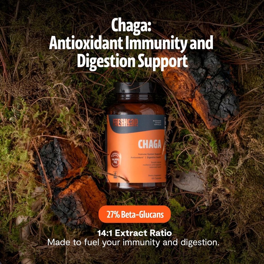 freshcap-mushrooms-premium-organic-chaga-2.jpg