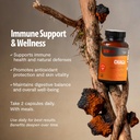 freshcap-mushrooms-premium-organic-chaga-4.jpg