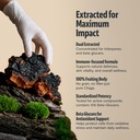 freshcap-mushrooms-premium-organic-chaga-3.jpg