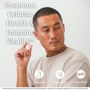big-bold-health-htb-immune-rejuvenate-hi-4.jpg