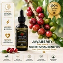 whole-coffee-fruit-extract-brain-focus-m-5.jpg