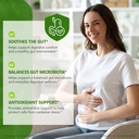 amla-fruit-supplement-1000mg-90-vegan-ca-6.jpg