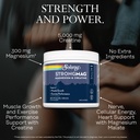 solaray-strongmag-creatine-monohydrate-p-3.jpg