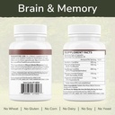 vinco-inc-brain-memory-cognitive-support-2.jpg