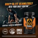 3-pack-primal-storm-capsules-advanced-pr-5.jpg