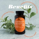 invite-health-l-carnosine-plus-hx-suppor-3.jpg