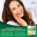 zazzee-artichoke-leaf-dandelion-root-bun-4.jpg