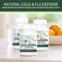 east-park-d-lenolate-plus-cold-flu-homeo-4.jpg