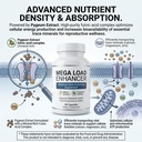 mega-load-enhancer-male-enhancing-supple-4.jpg