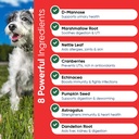 iheartdogs-extra-strength-urinary-bladde-6.jpg