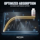 adaptoheal-inflammoff-joint-support-turm-6.jpg