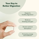 enzyme-365-advanced-digestive-enzymes-su-3.jpg