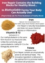 iron-repair-plus-natural-iron-supplement-4.jpg