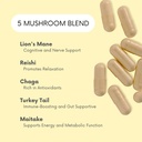mood-mushrooms-lifted-mushroom-supplemen-3.jpg