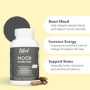 mood-mushrooms-lifted-mushroom-supplemen-2.jpg
