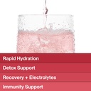 the-absorption-company-electrolyte-powde-3.jpg