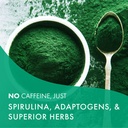 energy-plus-by-pure-essence-caffeine-fre-4.jpg