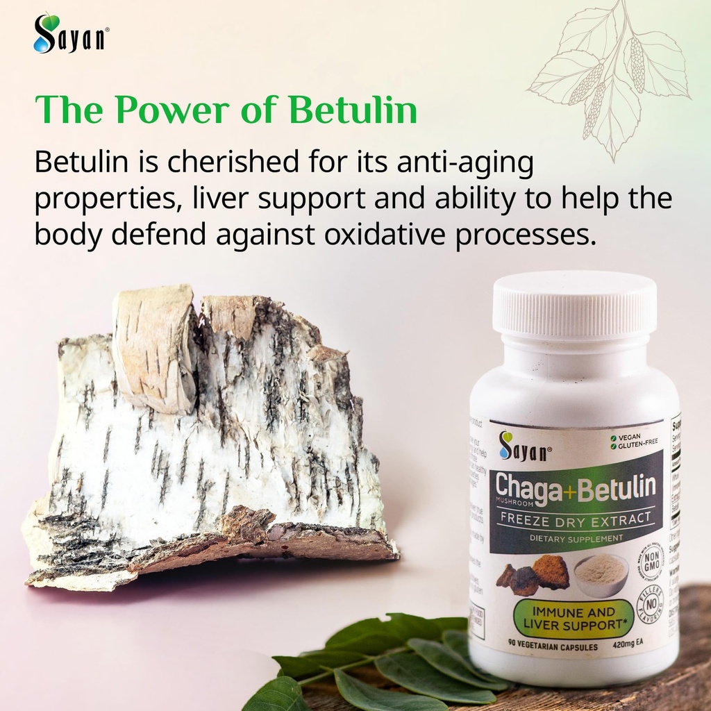 siberian-chaga-mushroom-extract-with-bet-4.jpg