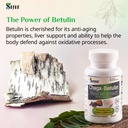 siberian-chaga-mushroom-extract-with-bet-4.jpg