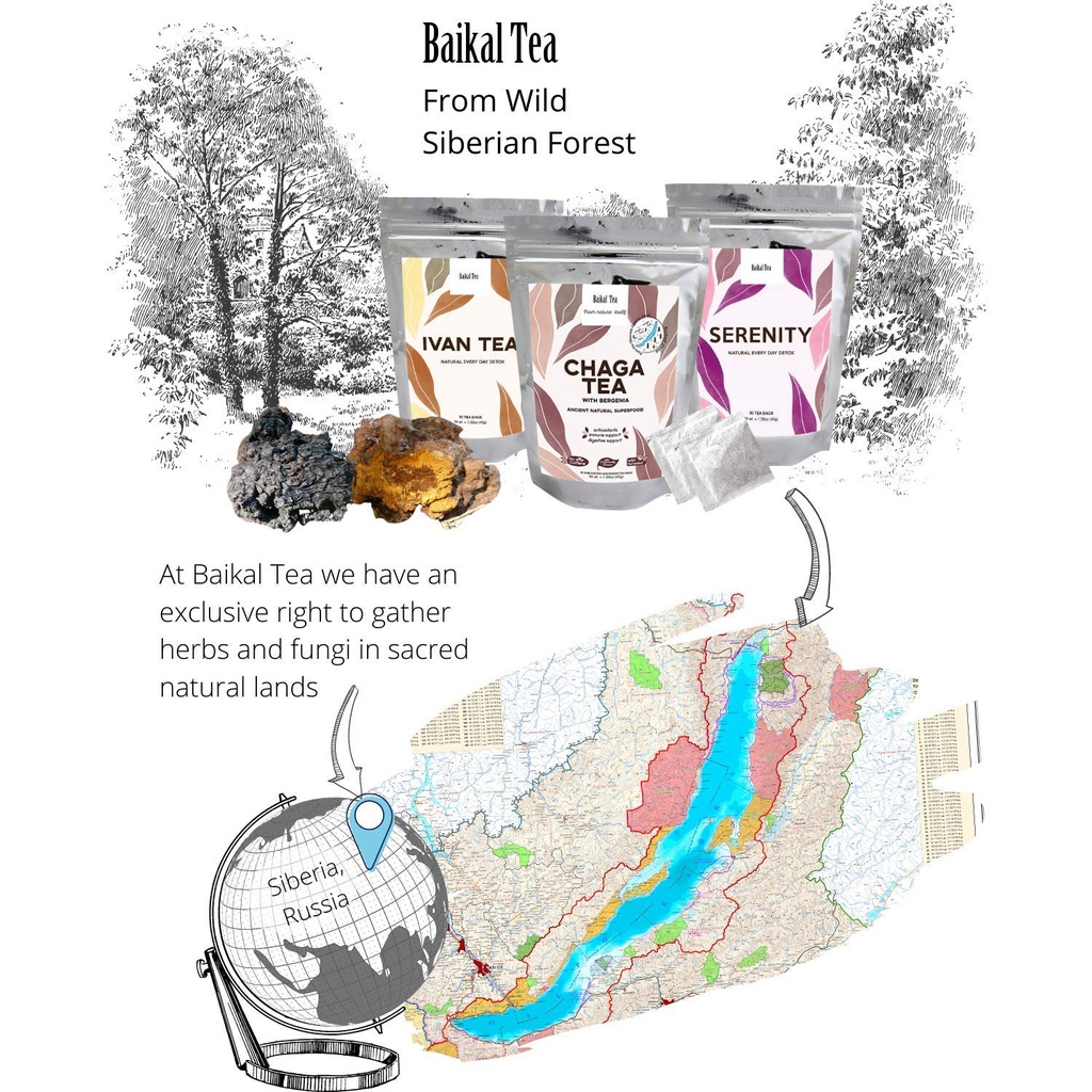 chaga-tea-100-wild-chaga-mushrooms-with--6.jpg