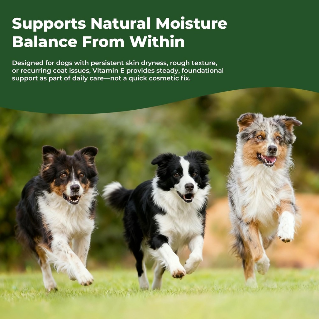 vitamin-e-for-dogs-liquid-vitamin-e-oil--5.jpg