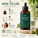 elavyn-lymphatic-drainage-drops-herbal-l-6.jpg