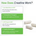 steelfit-creatine-monohydrate-capsules-f-6.jpg