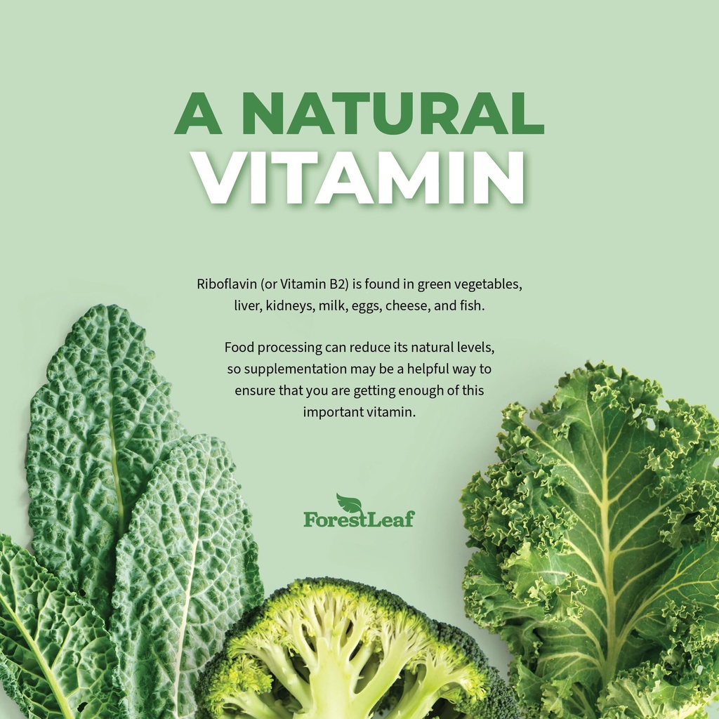 forestleaf-riboflavin-magnesium-migraine-4.jpg