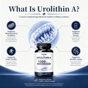 urolithin-a-1000mg-capsules-urolithin-a--71VGj4L4baL.jpg