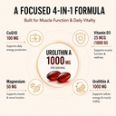 urolithin-a-supplement-1000mg-softgels-s-61b5n0c1vfL.jpg