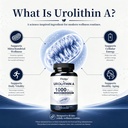 urolithin-a-1000mg-capsules-urolithin-a--71EQuvEKvnL.jpg